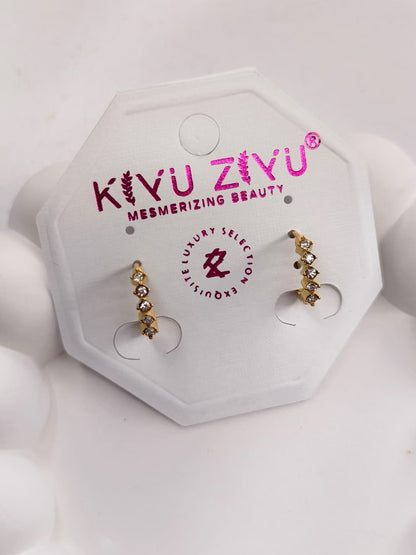 Anti-Tarnish Earring ATENJ04