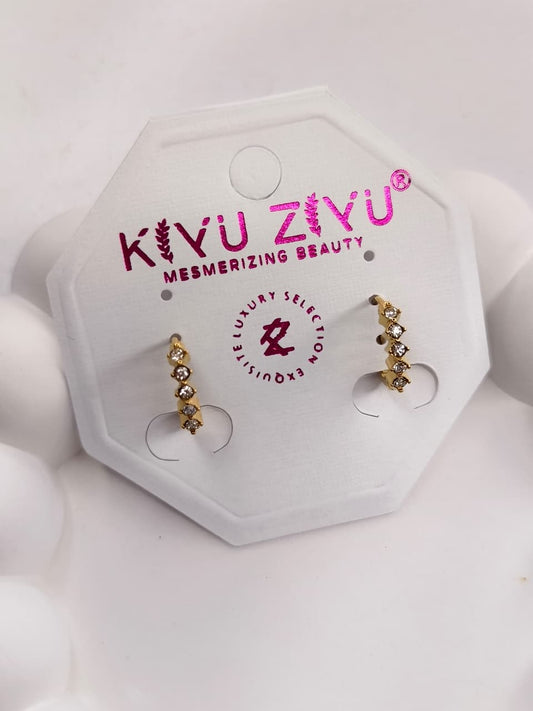 Anti-Tarnish Earring ATENJ04