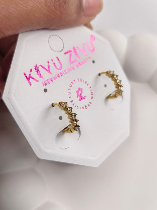 Anti-Tarnish Earring ATENJ04