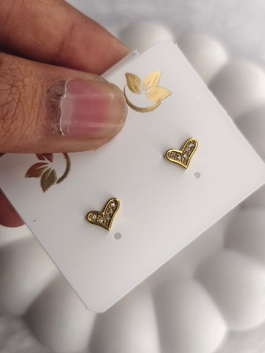Anti-Tarnish Earring ATENJ18