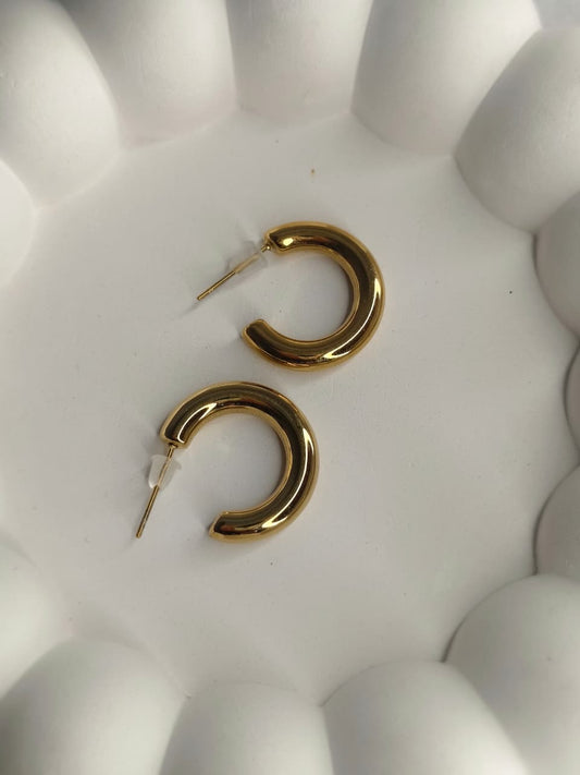 Anti-Tarnish Earring ATENJ19