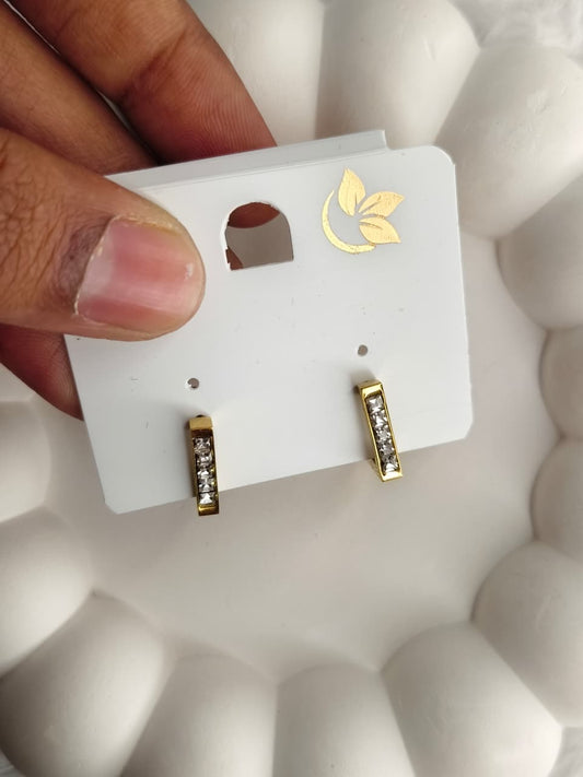 Anti-Tarnish Earring ATENJ20