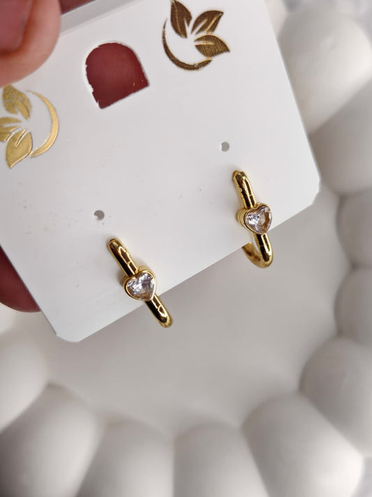 Anti-Tarnish Earring ATENJ22