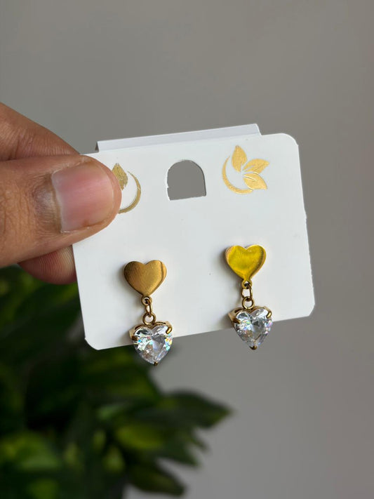 Anti-Tarnish Earring ATENJ14