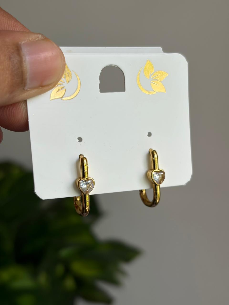 Anti-Tarnish Earring ATENJ22