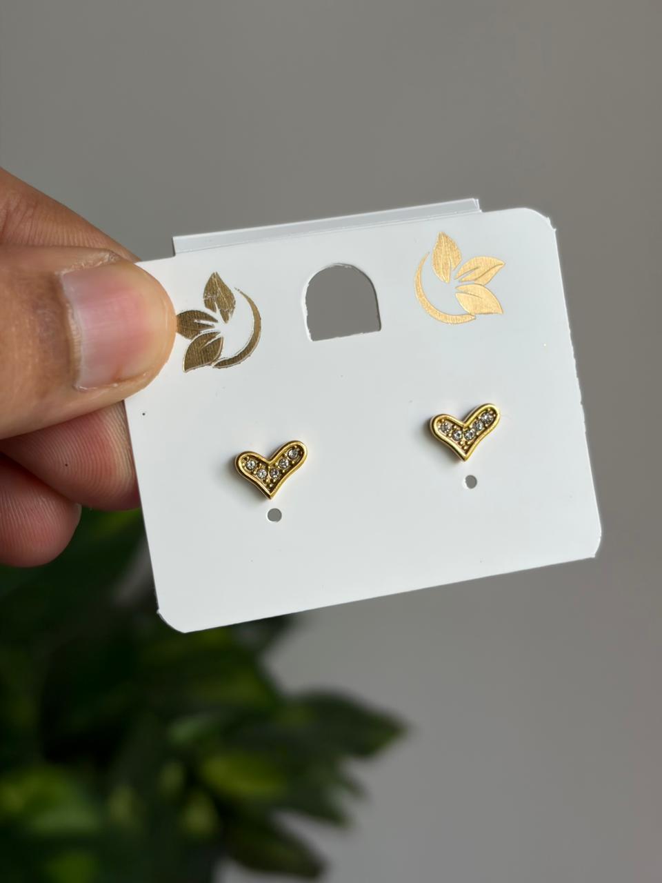 Anti-Tarnish Earring ATENJ18