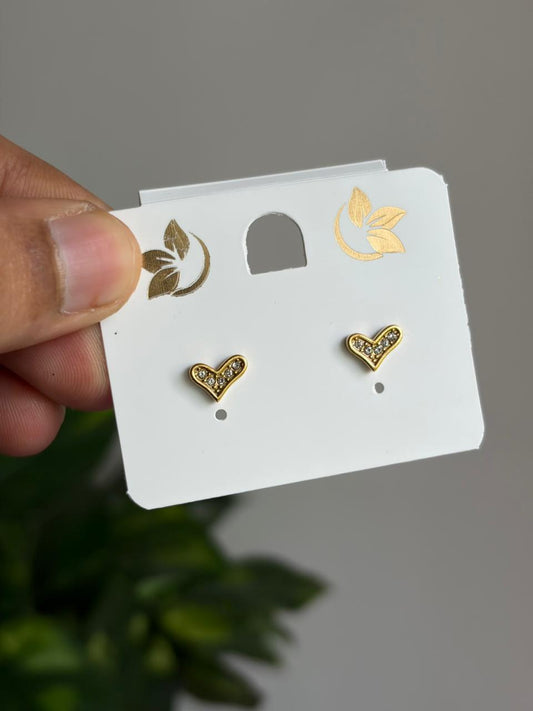 Anti-Tarnish Earring ATENJ18