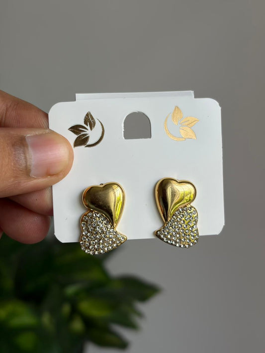 Anti-Tarnish Earring ATENJ17