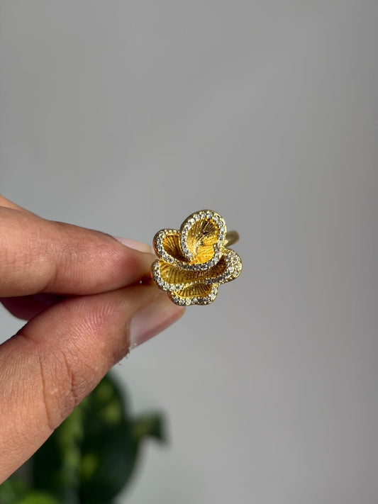 Anti-Tarnish Ring ATRNJ27