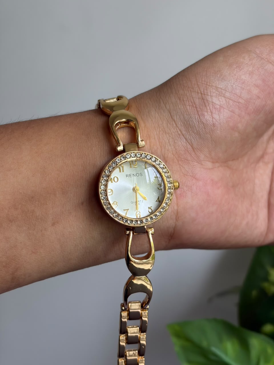 Anti -Tarnish Watch ATW03