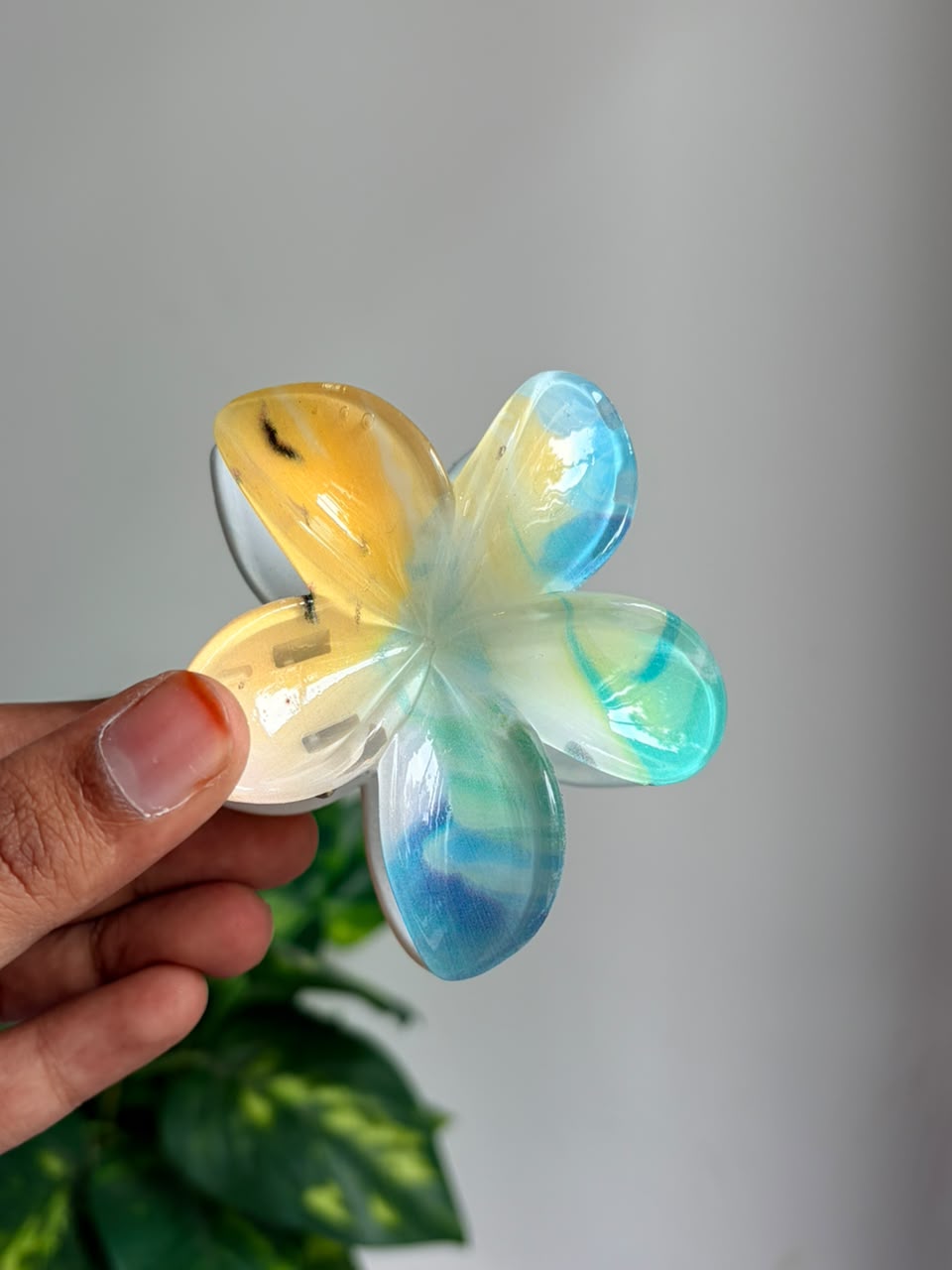 Hawai Clutch